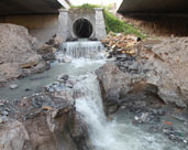 讓廢水變“活水”！鎮(zhèn)海再生水“養(yǎng)”出生態(tài)濕地公園